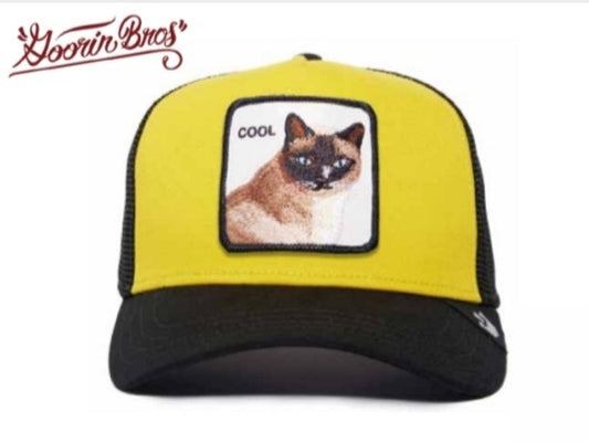 CAPPELLO BASEBALL GOORIN BROS COOL CAT